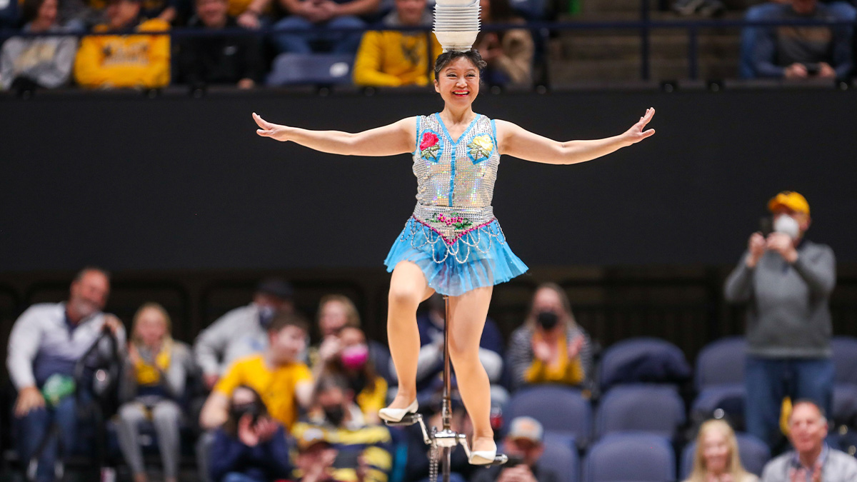 Red Panda suffers scary fall during WNBA halftime show